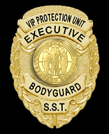 BadgeFinal2NEW2 website 62